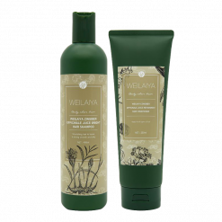[Weilaiya] Cặp Dầu Gội Và Xả Weilaiya Zingiber Officinale Juice Shampoo & Conditioner 400ml Gừng Nâu
